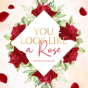 YOU LOOK LIKE A ROSE